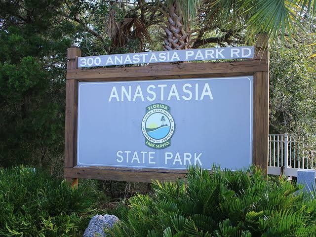 Anastasia State Park, Florida: What to Know Before You Visit in 2026