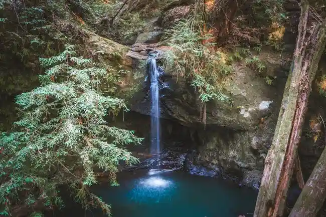 Big Basin Redwoods State Park, California: What to Know Before You Visit in 2026