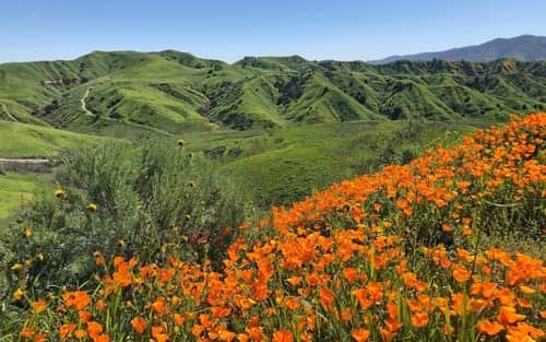 Chino Hills State Park, California: What to Know Before You Visit in 2026