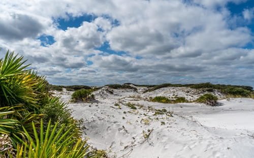 Grayton Beach State Park, Florida