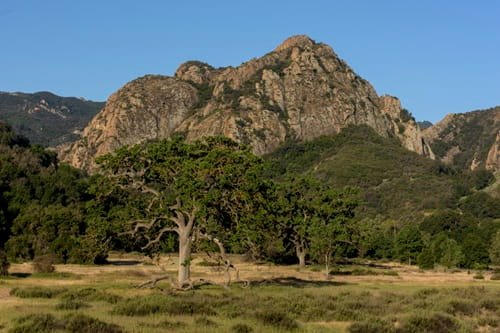 Malibu Creek State Park, California