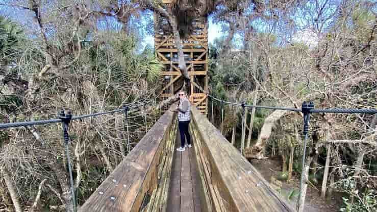 Myakka River State Park, Florida
