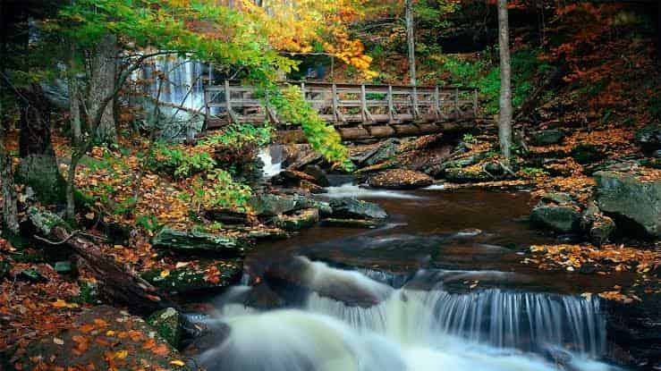 Ricketts Glen State Park, Pennsylvania: What to Know Before You Visit in 2026