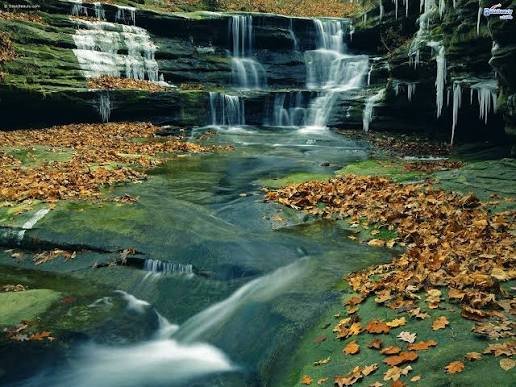 Starved Rock State Park, Illinois: What to Know Before You Visit in 2026