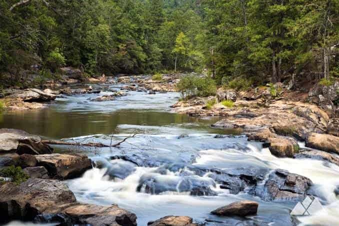 Sweetwater Creek State Park, Georgia: What to Know Before You Visit in 2026
