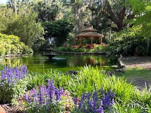 Washington Oaks Gardens State Park, Florida: What to Know Before You Visit in 2026