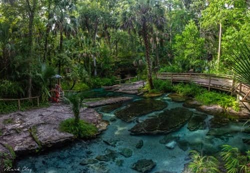 Wekiwa Springs State Park, Florida