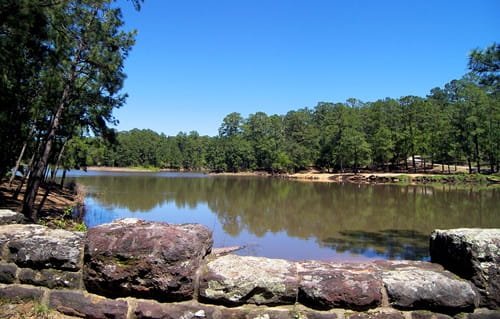 Bastrop State Park: What to Know Before You Visit in 2026