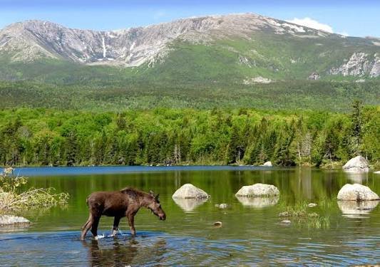 Baxter State Park, Maine: What to Know Before You Visit in 2026